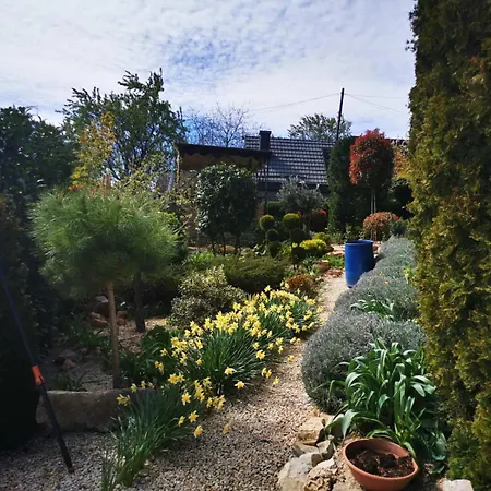 Balaton House - Panoramic Lux Villa